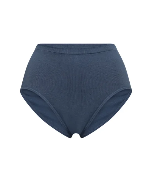 JBS of Denmark Sportstøj<42 BLÅ - Hybrid Maxi Brief