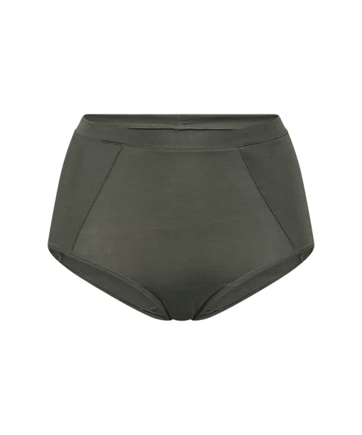 JBS of Denmark Undertøj|Trusser<61 GRØN - OCS Maxi Brief