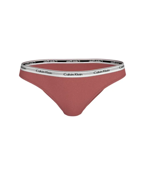 Calvin Klein Trusser<VCC DUSTY CEDAR - Modern Logo Brief