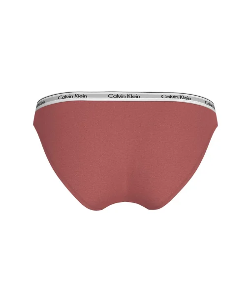 Calvin Klein Trusser<VCC DUSTY CEDAR - Modern Logo Brief